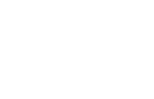Château Bois Noir